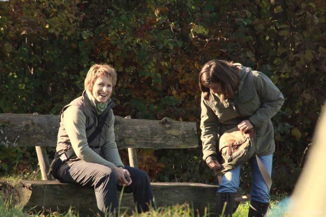 Img 1257445220 342 lg opt