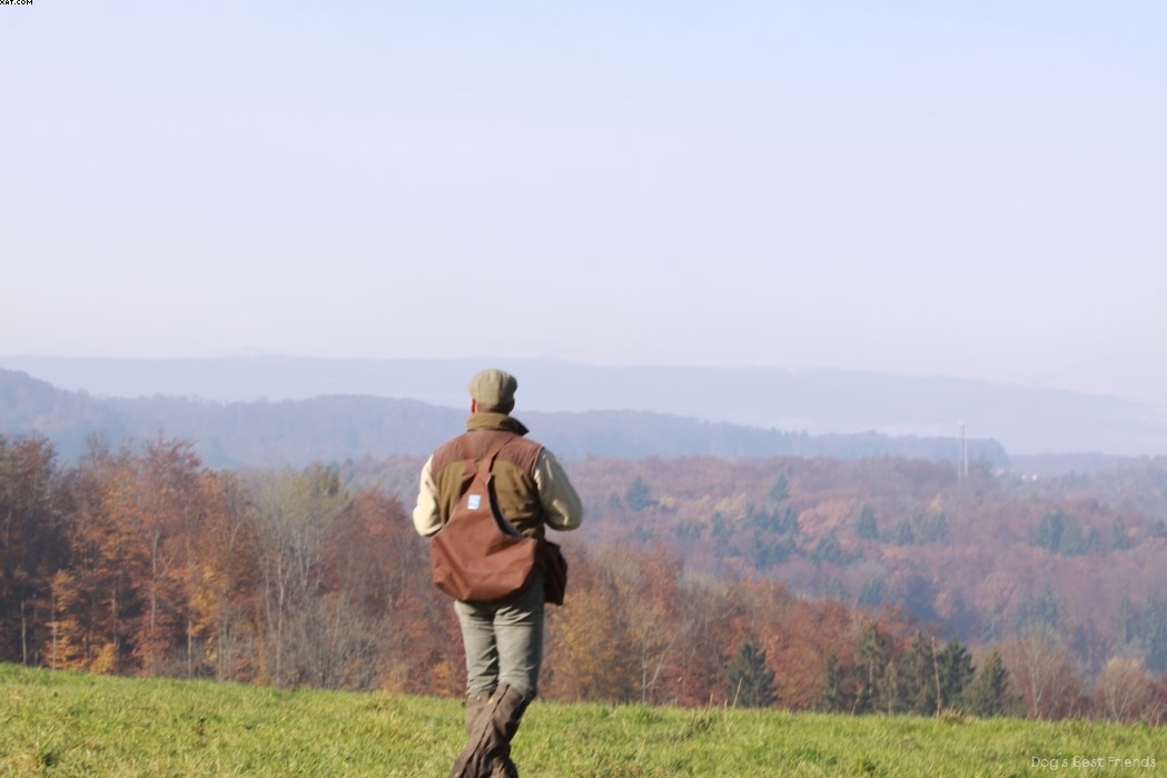 Img 1257445244 687 lg opt