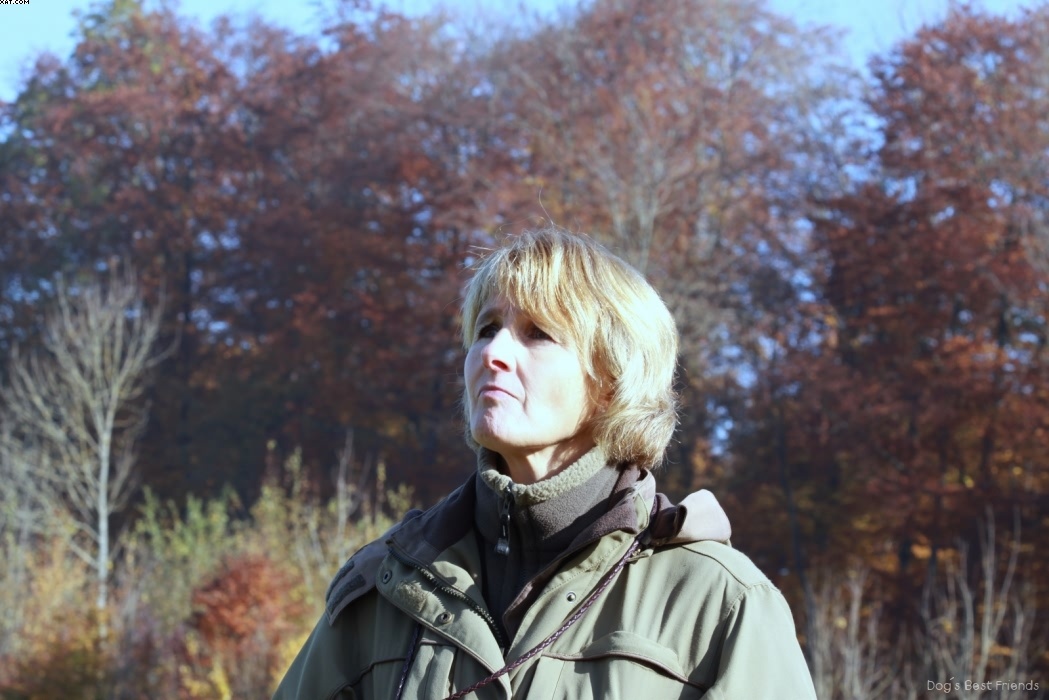 Img 1257445277 664 lg opt