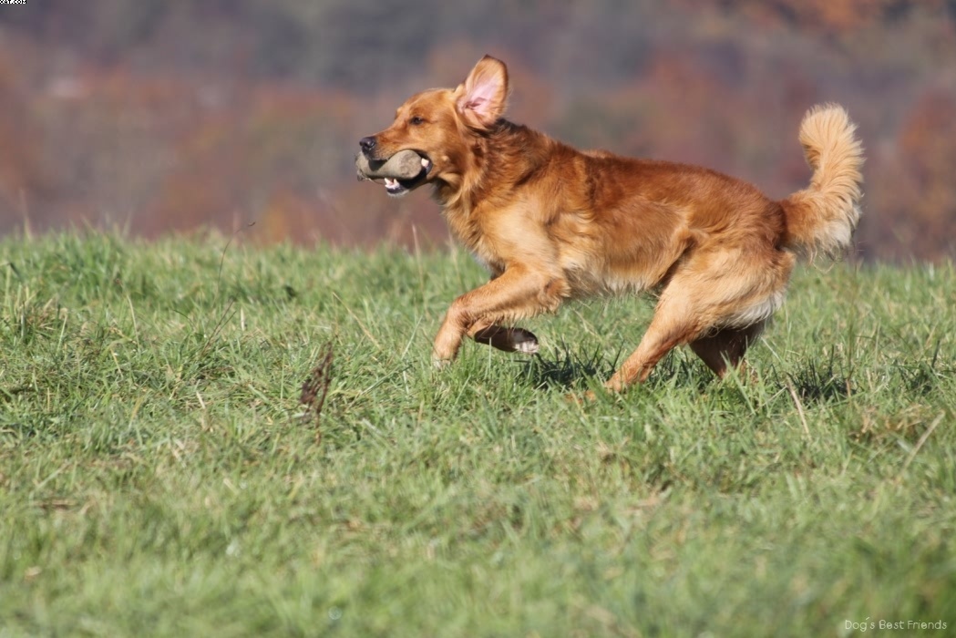 Img 1257445373 446 lg opt