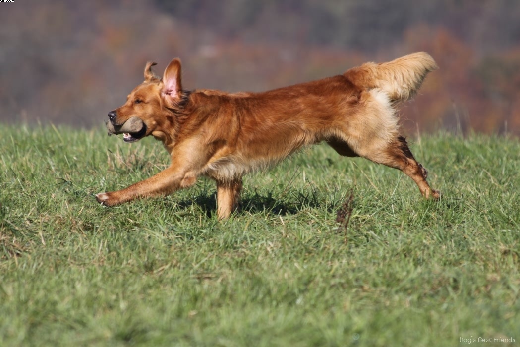 Img 1257445413 257 lg opt