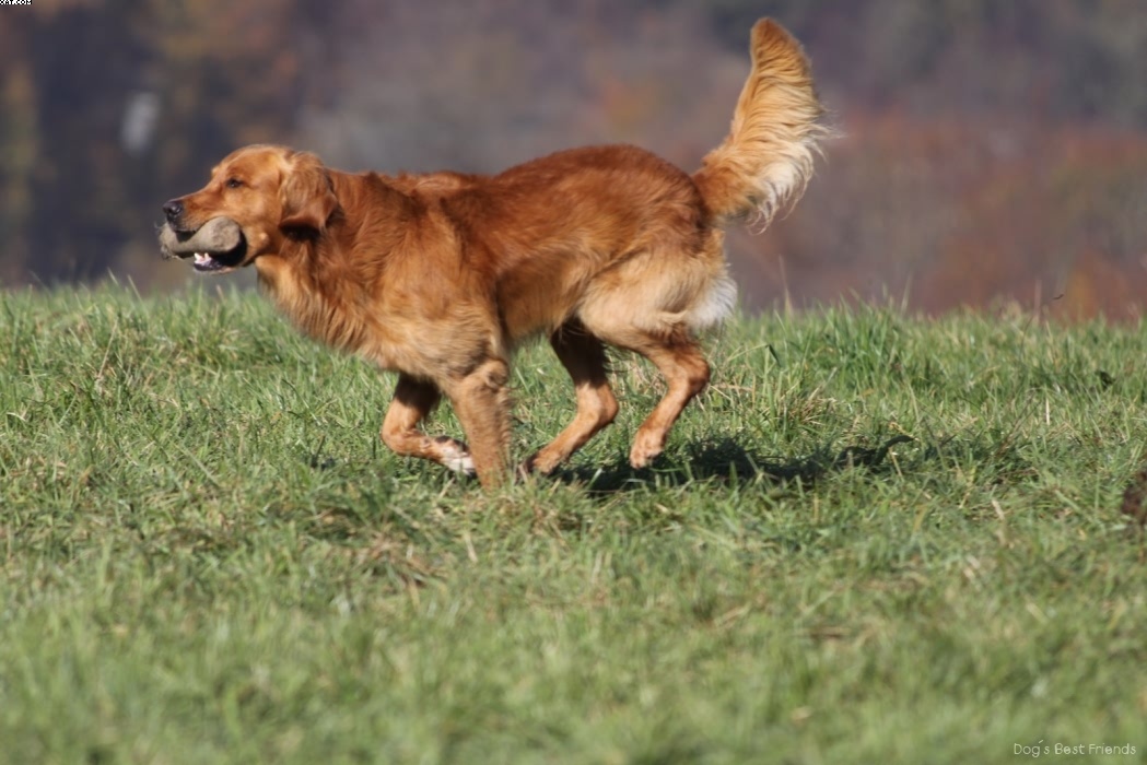 Img 1257445450 780 lg opt