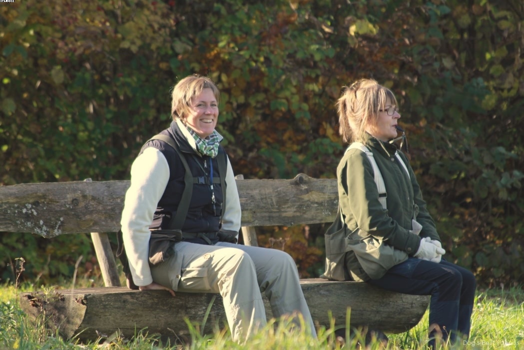 Img 1257445486 827 lg opt