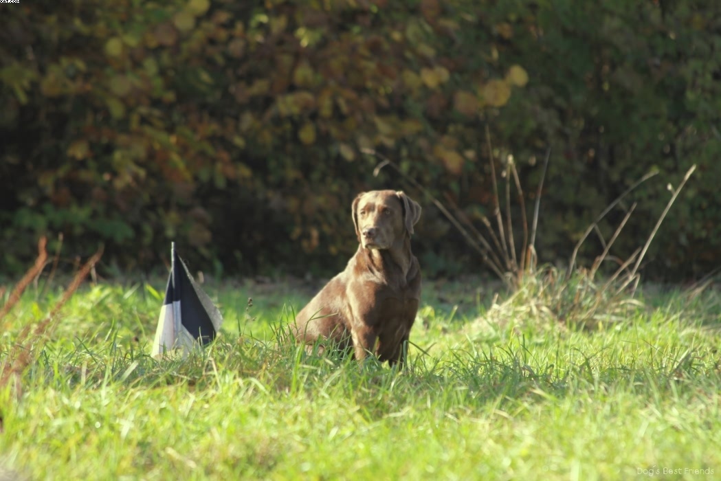 Img 1257445522 571 lg opt