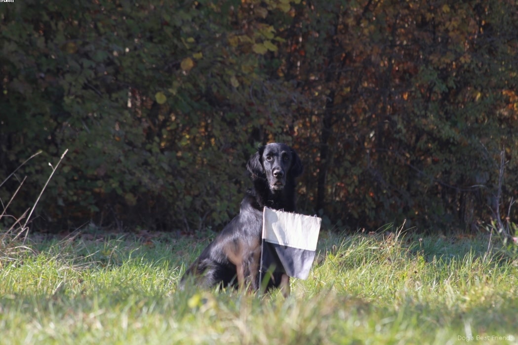 Img 1257445562 148 lg opt