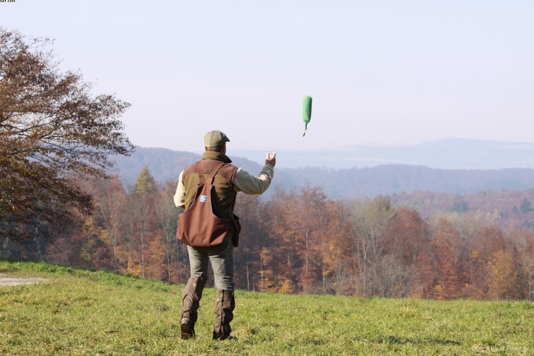 Img 1257445606 787 lg opt