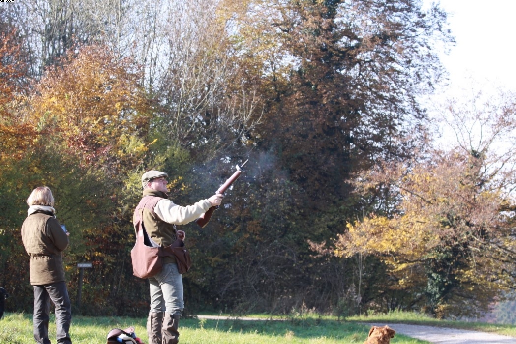 Img 1257445684 675 lg opt