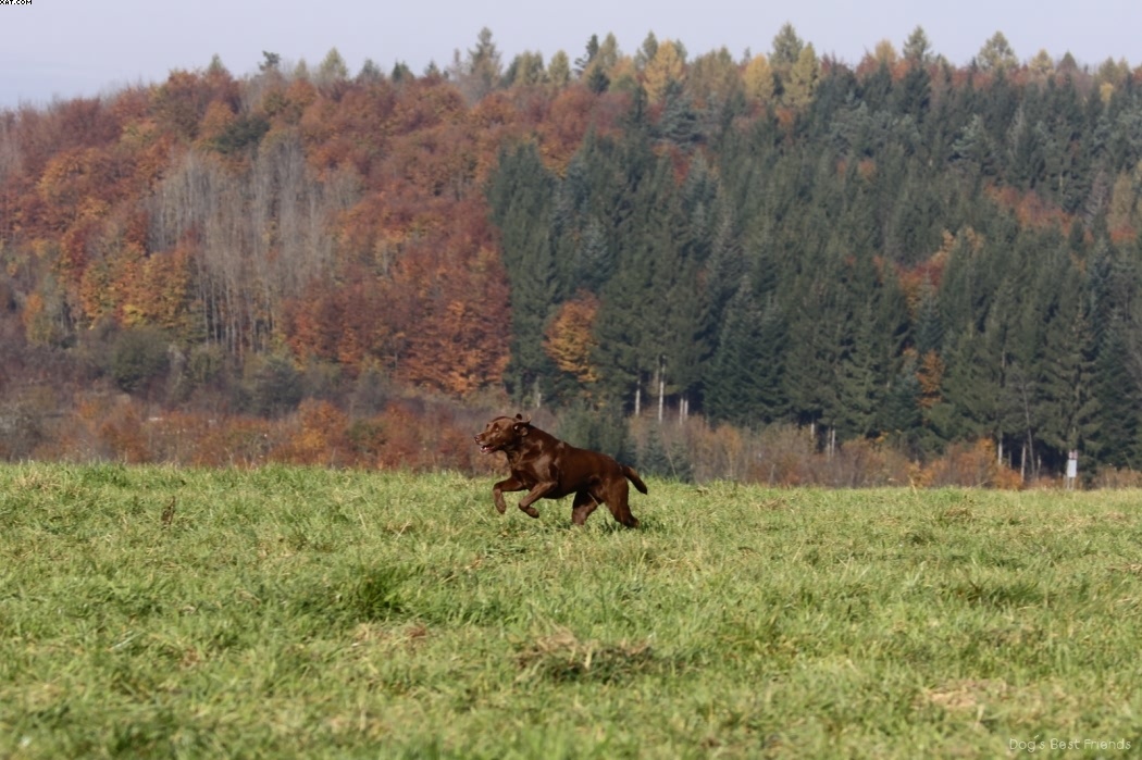 Img 1257445724 647 lg opt