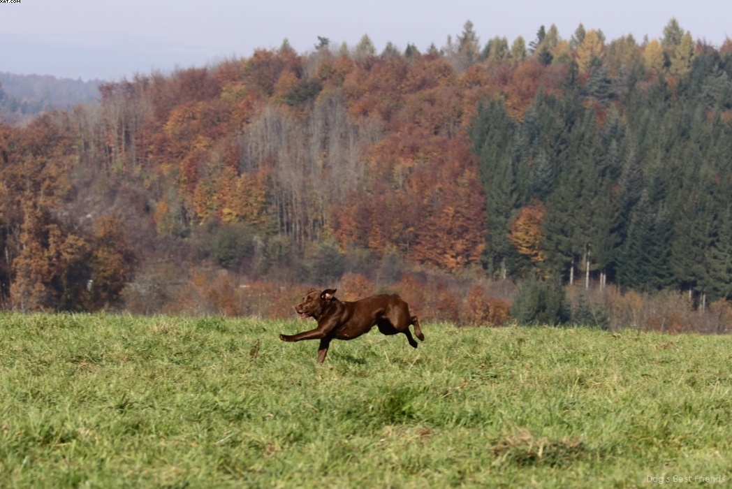 Img 1257445762 608 lg opt