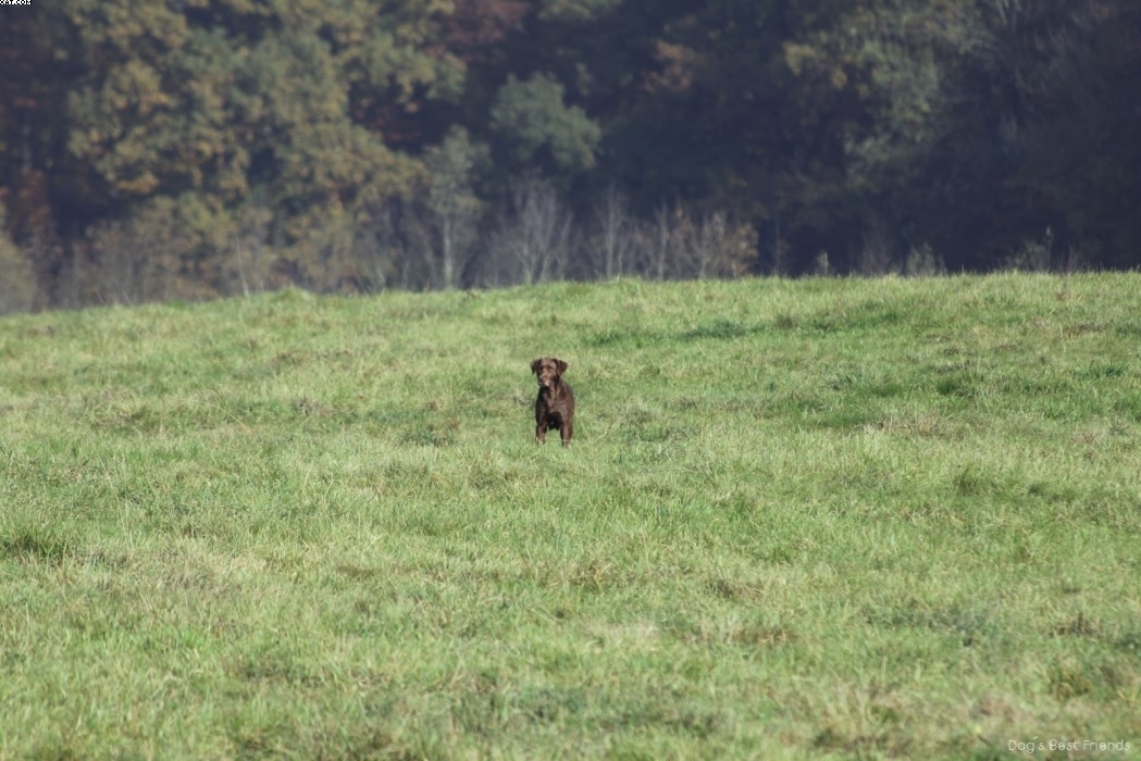 Img 1257445809 424 lg opt