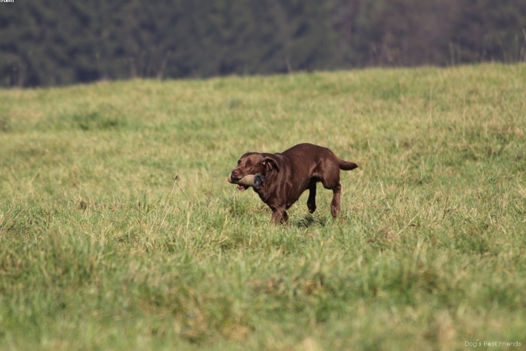 Img 1257445840 330 lg opt