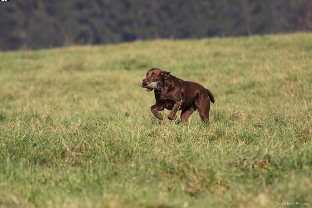 Img 1257445874 991 lg opt