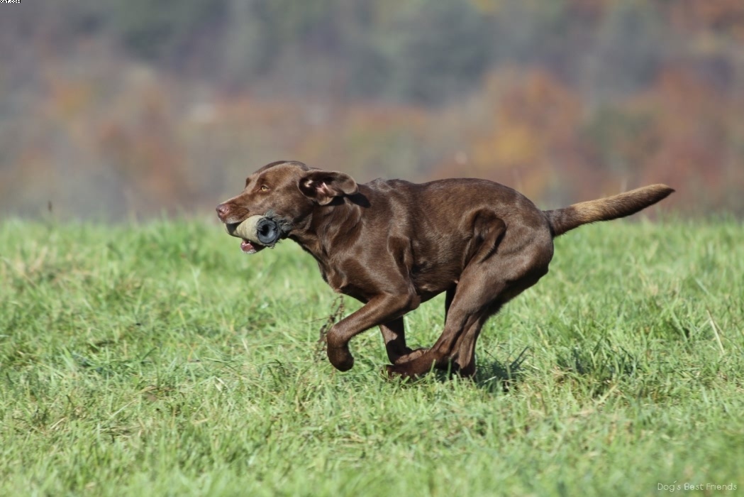 Img 1257445909 17 lg opt