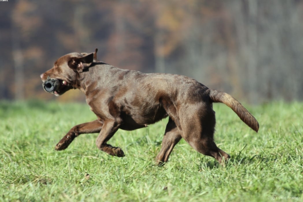 Img 1257445940 412 lg opt