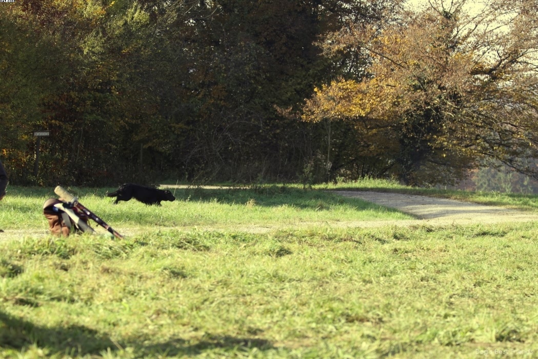 Img 1257445998 502 lg opt