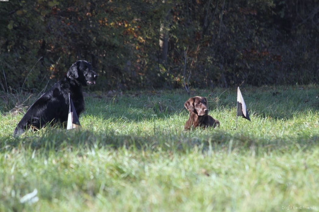 Img 1257446074 241 lg opt