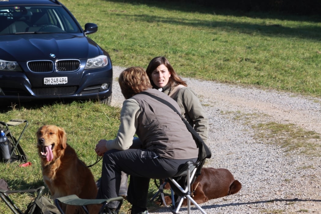 Img 1257446121 253 lg opt