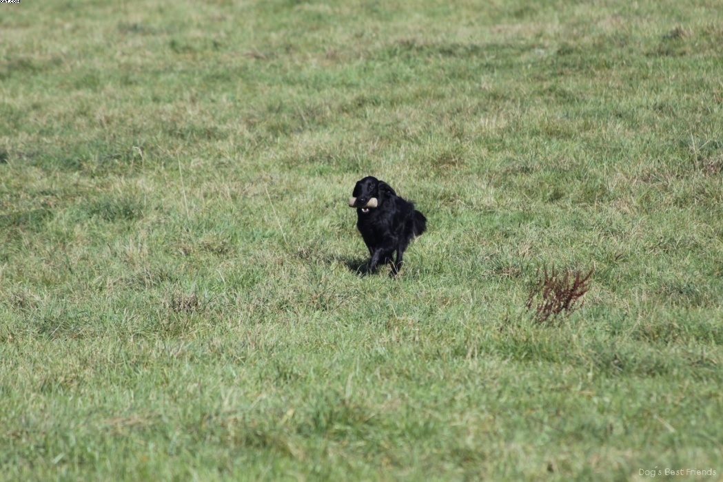 Img 1257446173 681 lg opt