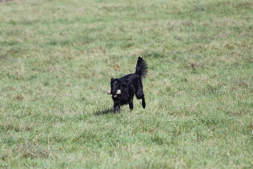 Img 1257446222 693 lg opt