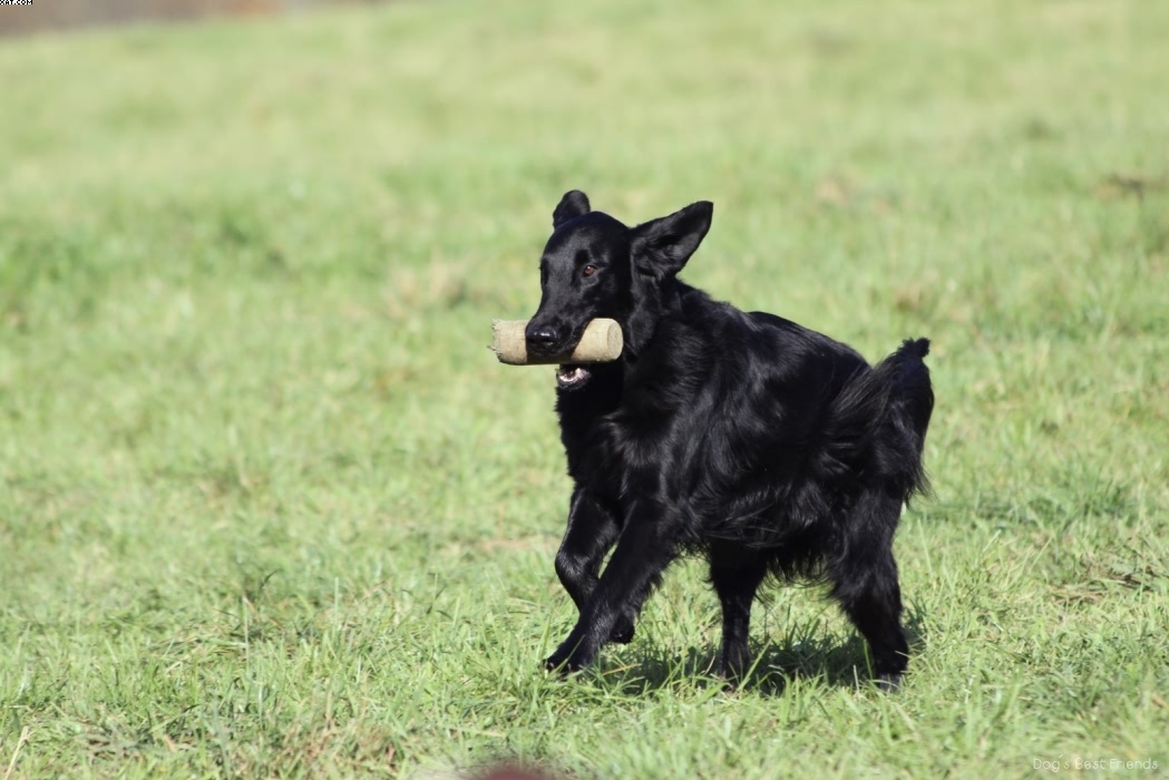 Img 1257446258 337 lg opt