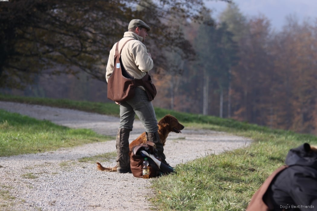 Img 1257446294 689 lg opt