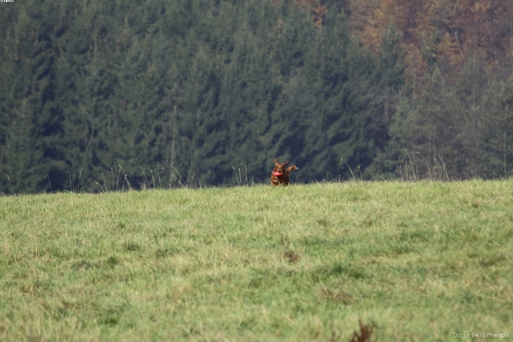 Img 1257446330 525 lg opt