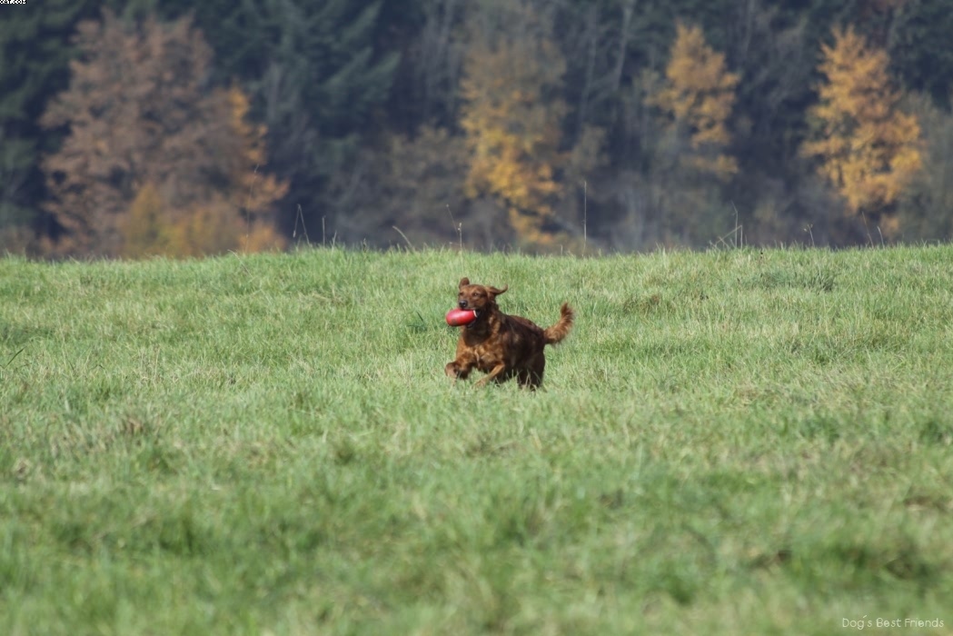 Img 1257446366 399 lg opt