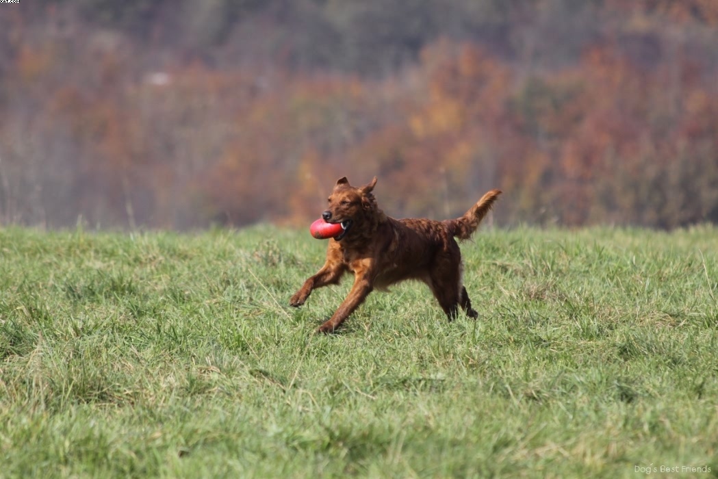 Img 1257446404 428 lg opt