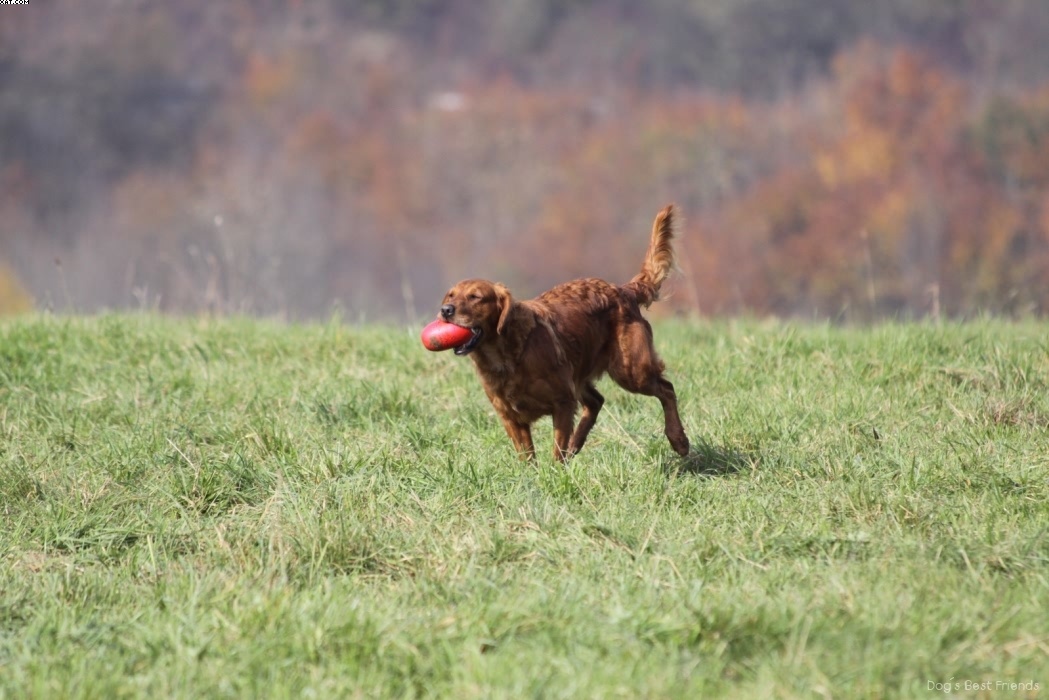 Img 1257446444 909 lg opt