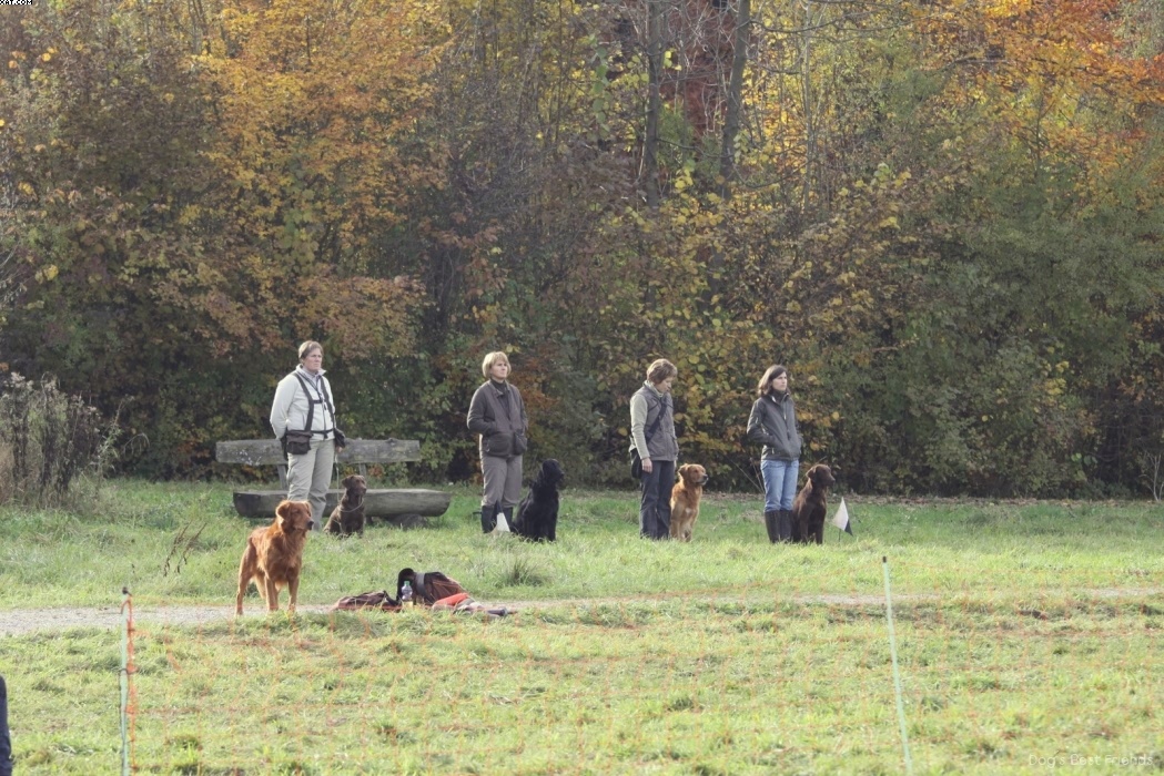 Img 1257446581 331 lg opt