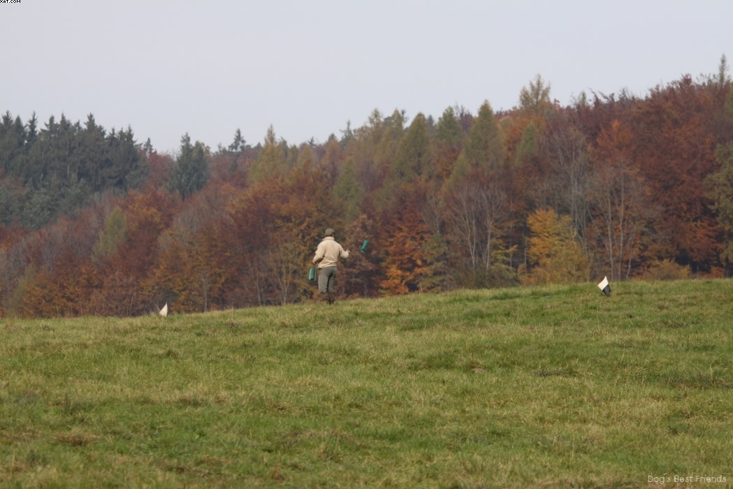 Img 1257446617 403 lg opt