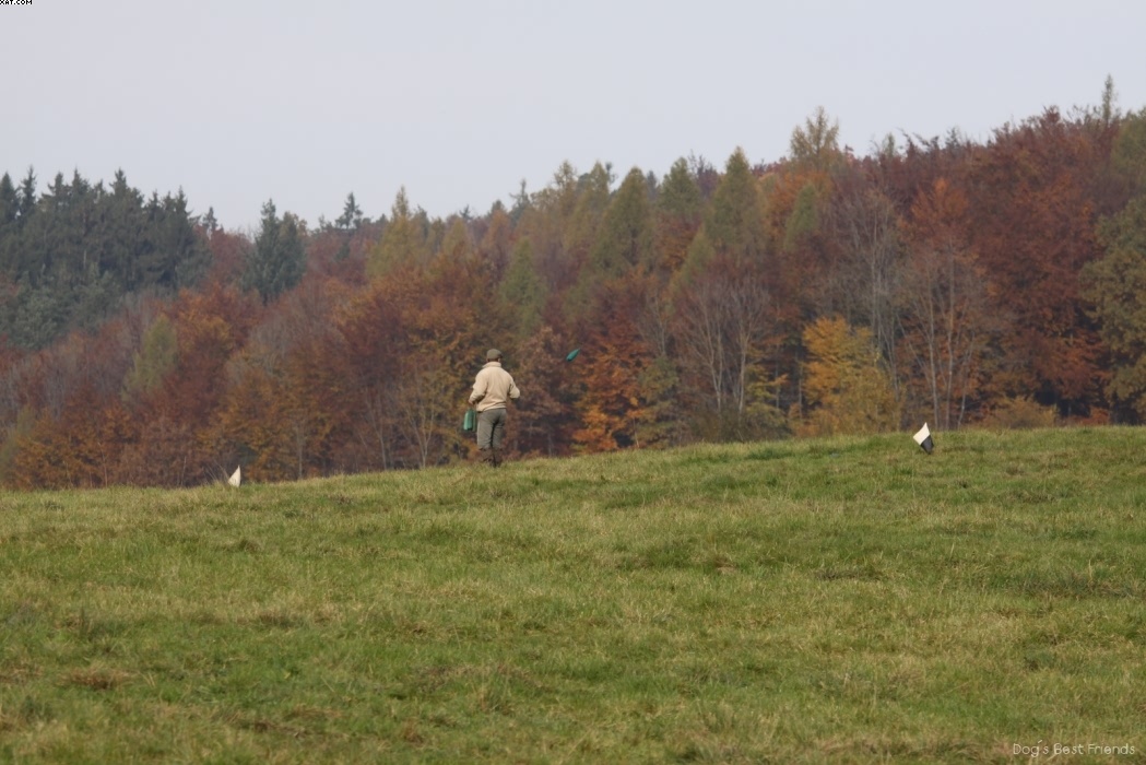 Img 1257446654 820 lg opt