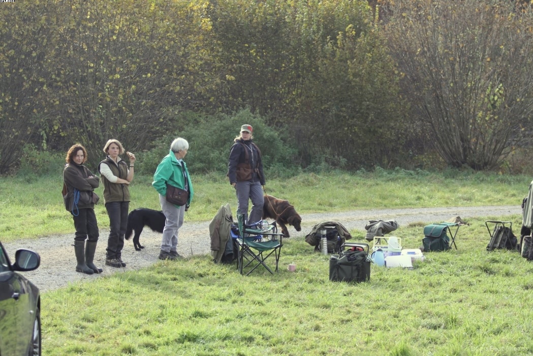 Img 1257446714 132 lg opt