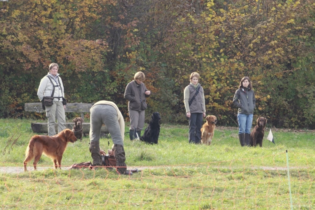 Img 1257446768 25 lg opt