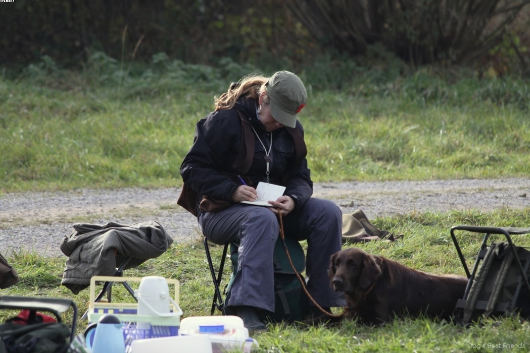 Img 1257446806 873 lg opt