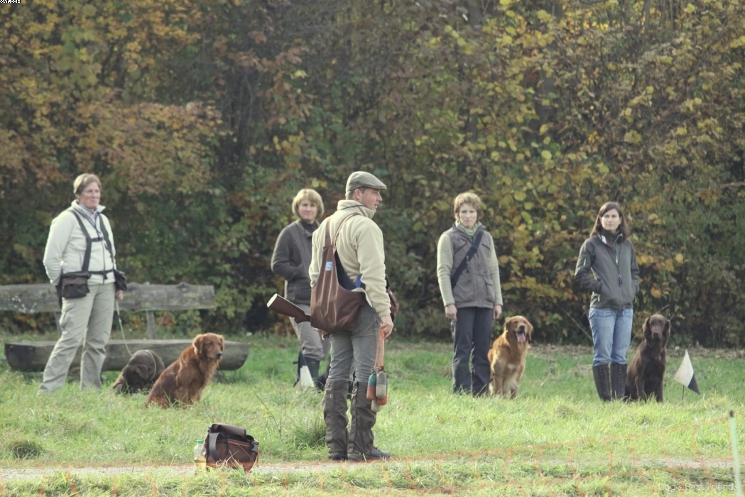 Img 1257446880 238 lg opt