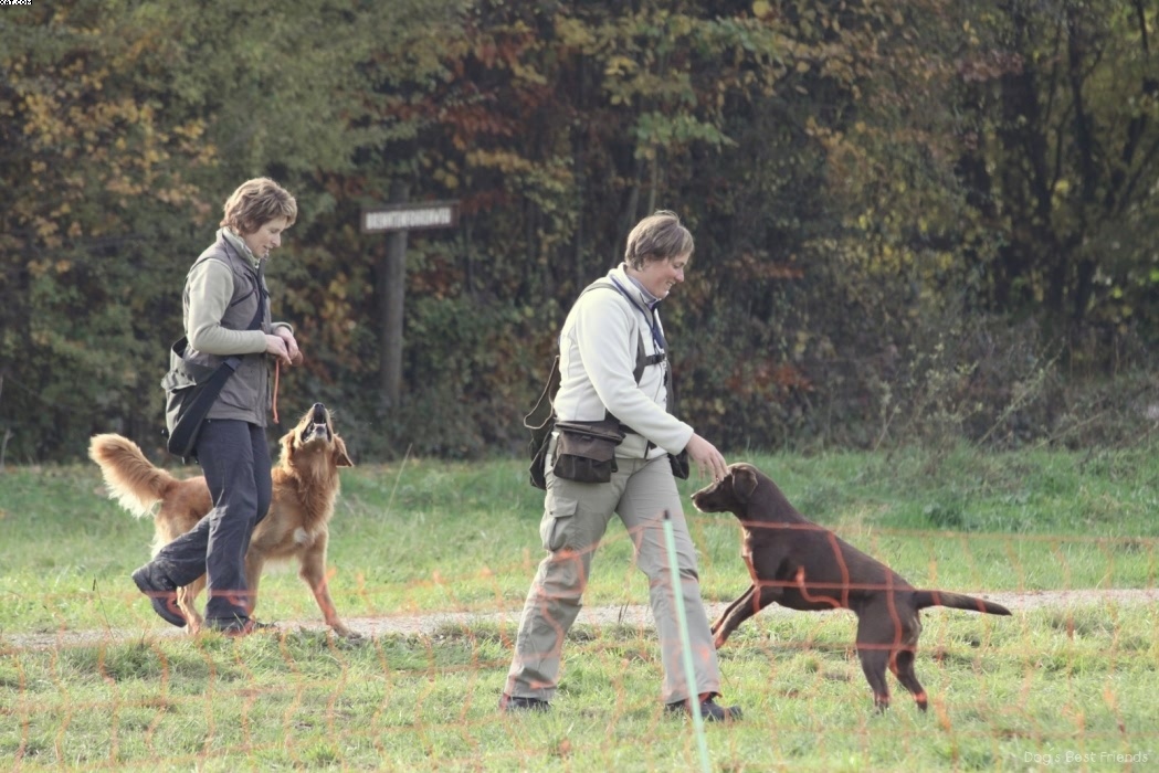 Img 1257446921 188 lg opt