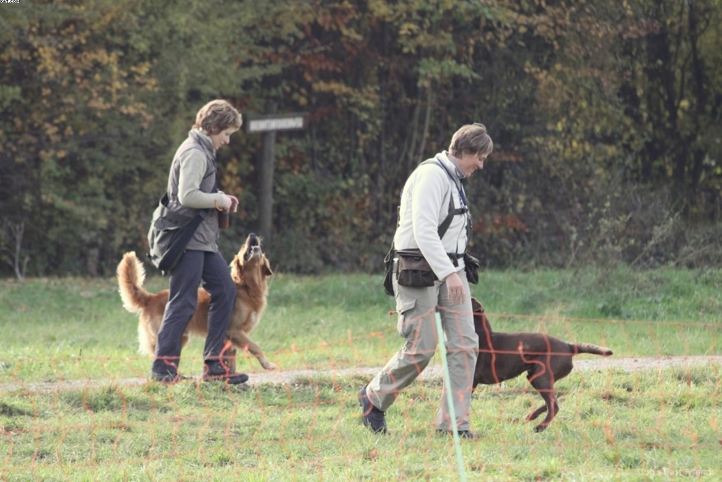 Img 1257446965 811 lg opt