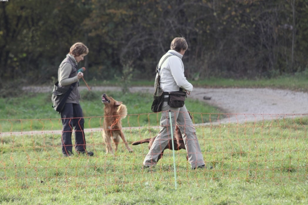 Img 1257447005 58 lg opt