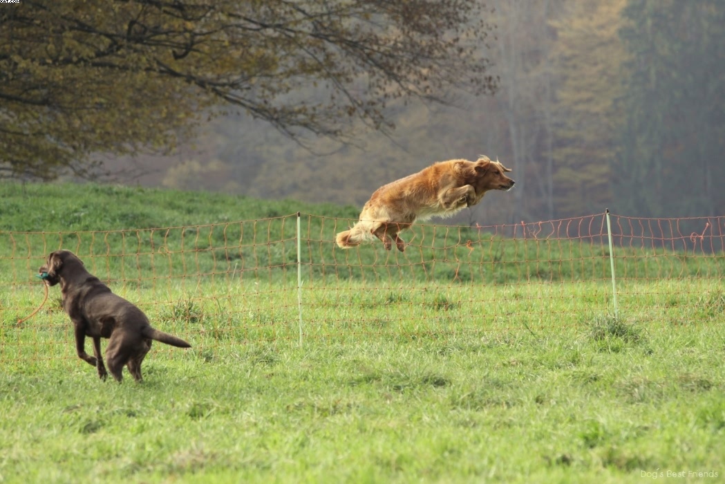 Img 1257447048 202 lg opt