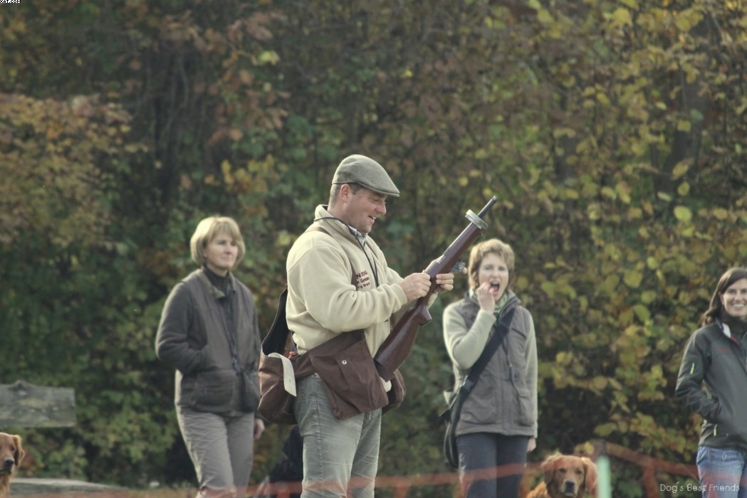 Img 1257447079 750 lg opt