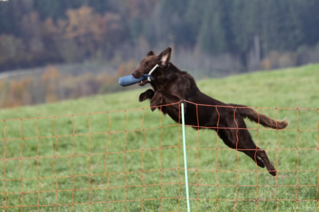 Img 1257447106 238 lg opt