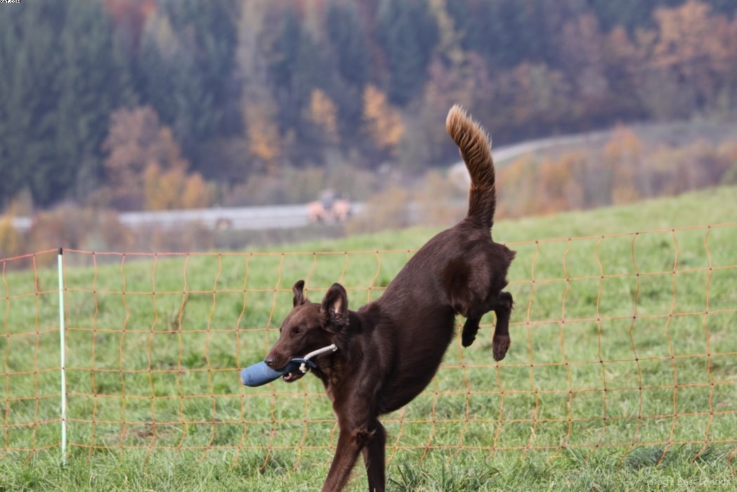 Img 1257447144 486 lg opt