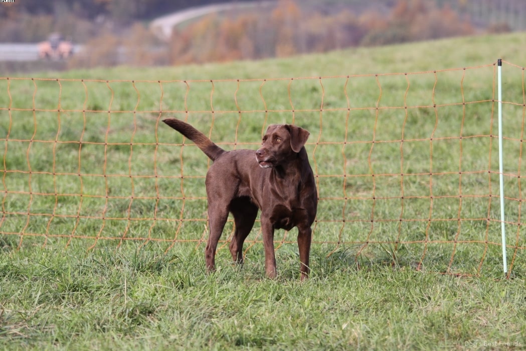 Img 1257447190 370 lg opt