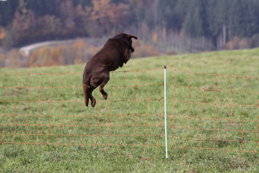 Img 1257447230 642 lg opt