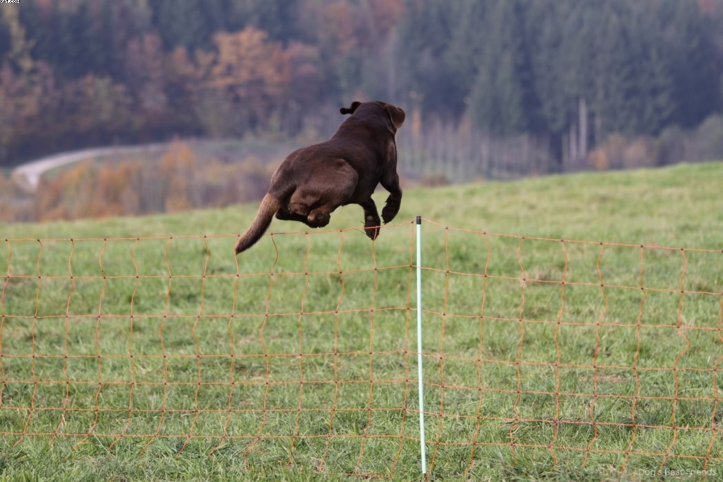 Img 1257447269 413 lg opt