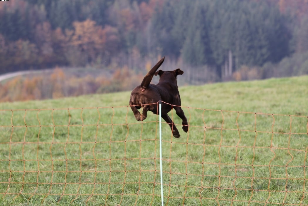 Img 1257447306 714 lg opt