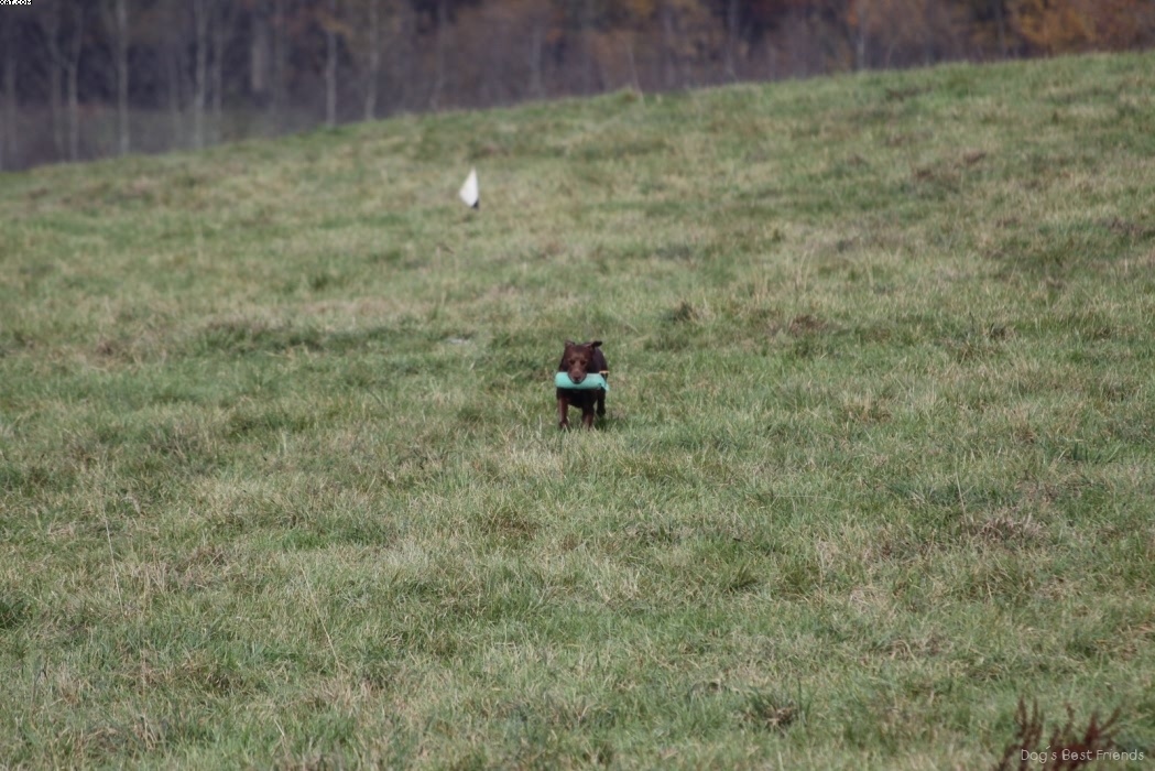 Img 1257447353 196 lg opt