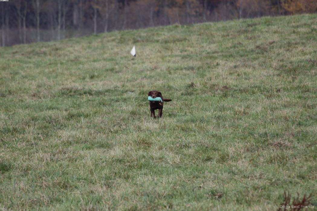 Img 1257447405 671 lg opt