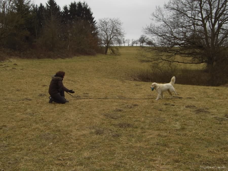 Img 1233511825 417 lg opt